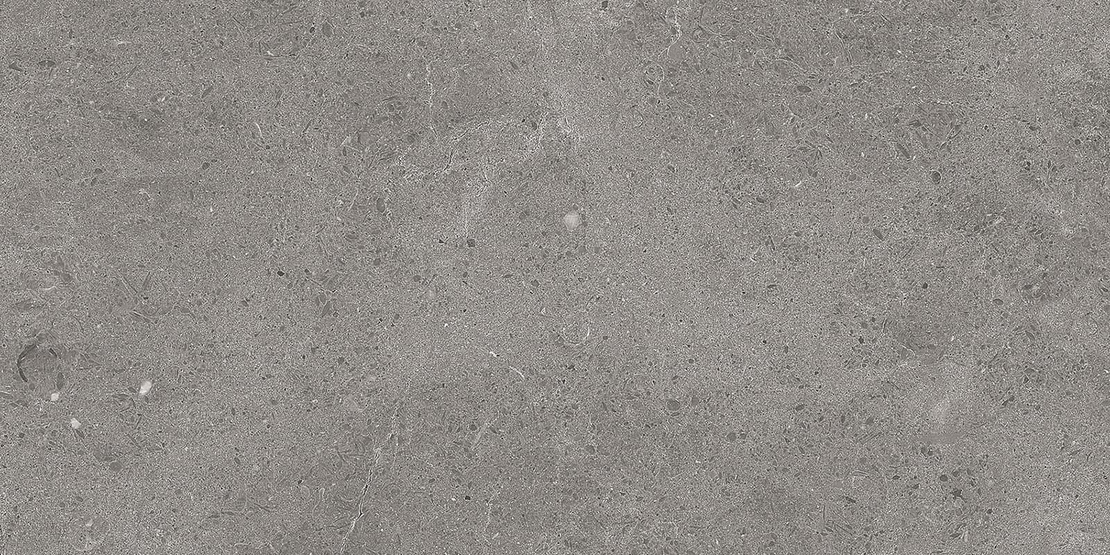 SERENASTONE GRAY 30x60n(C ) REC