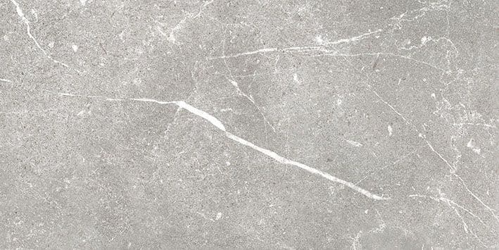SOAPSTONE SILVER 30X60 REC
