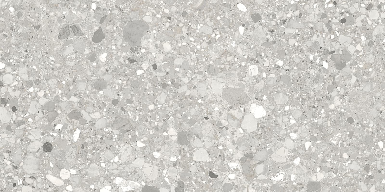 CLEMON SILVER 60×120(n) REC