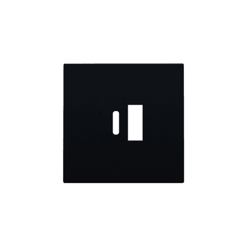 Set de finition pour double chargeur USB-A et USB-C intelligent, couleur black coated