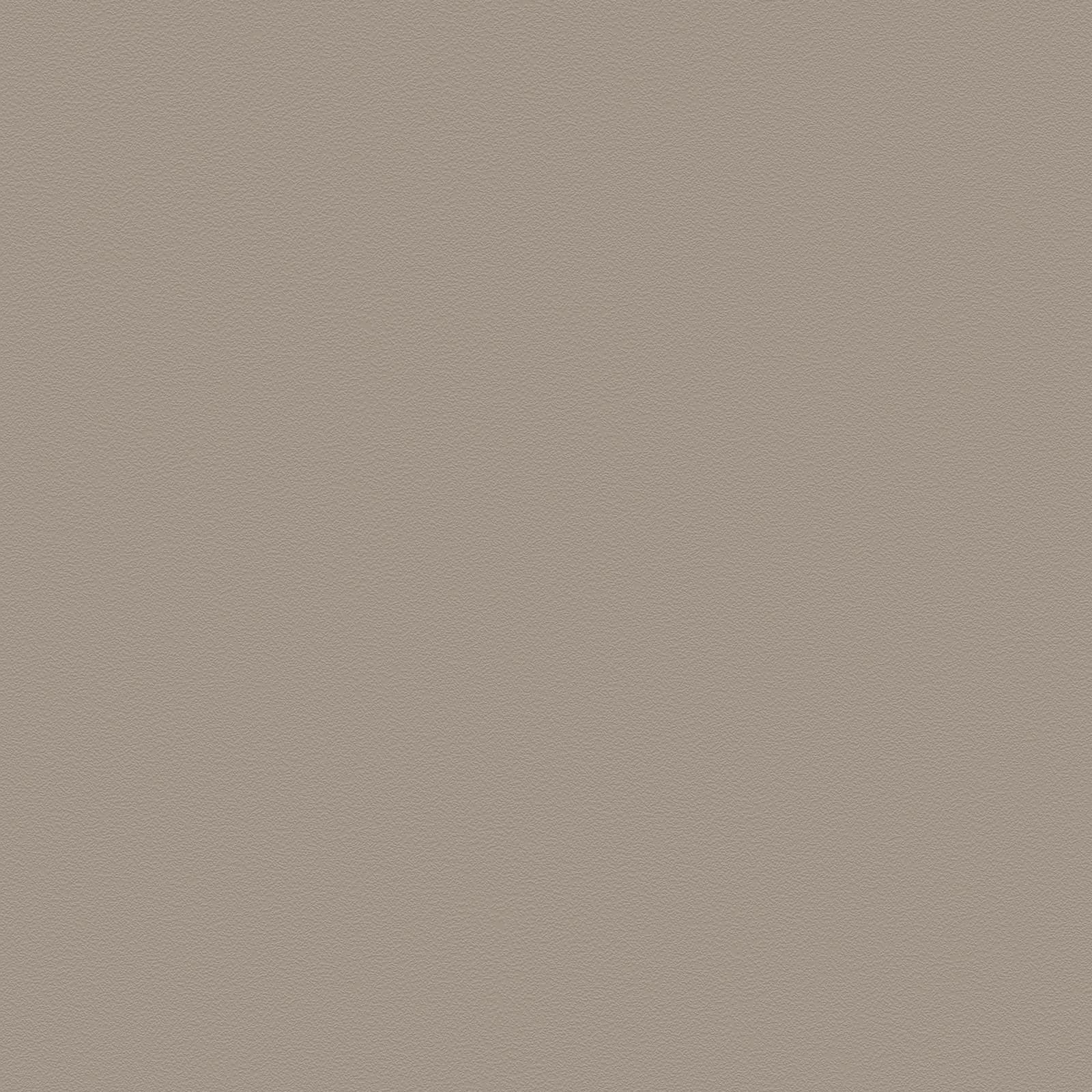 ZUMAIA GREIGE 60X60 REC