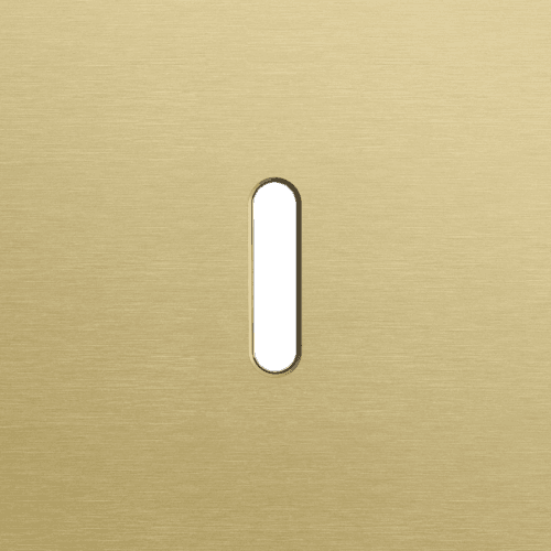 Plaque de recouvrement simple, pour des fonctions de commutation simple, couleur Niko Rocker alu gold brushed