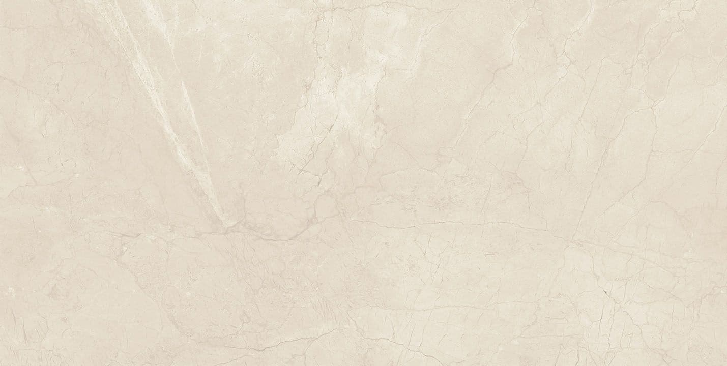DELIGHT CREAM 60×120(n) REC
