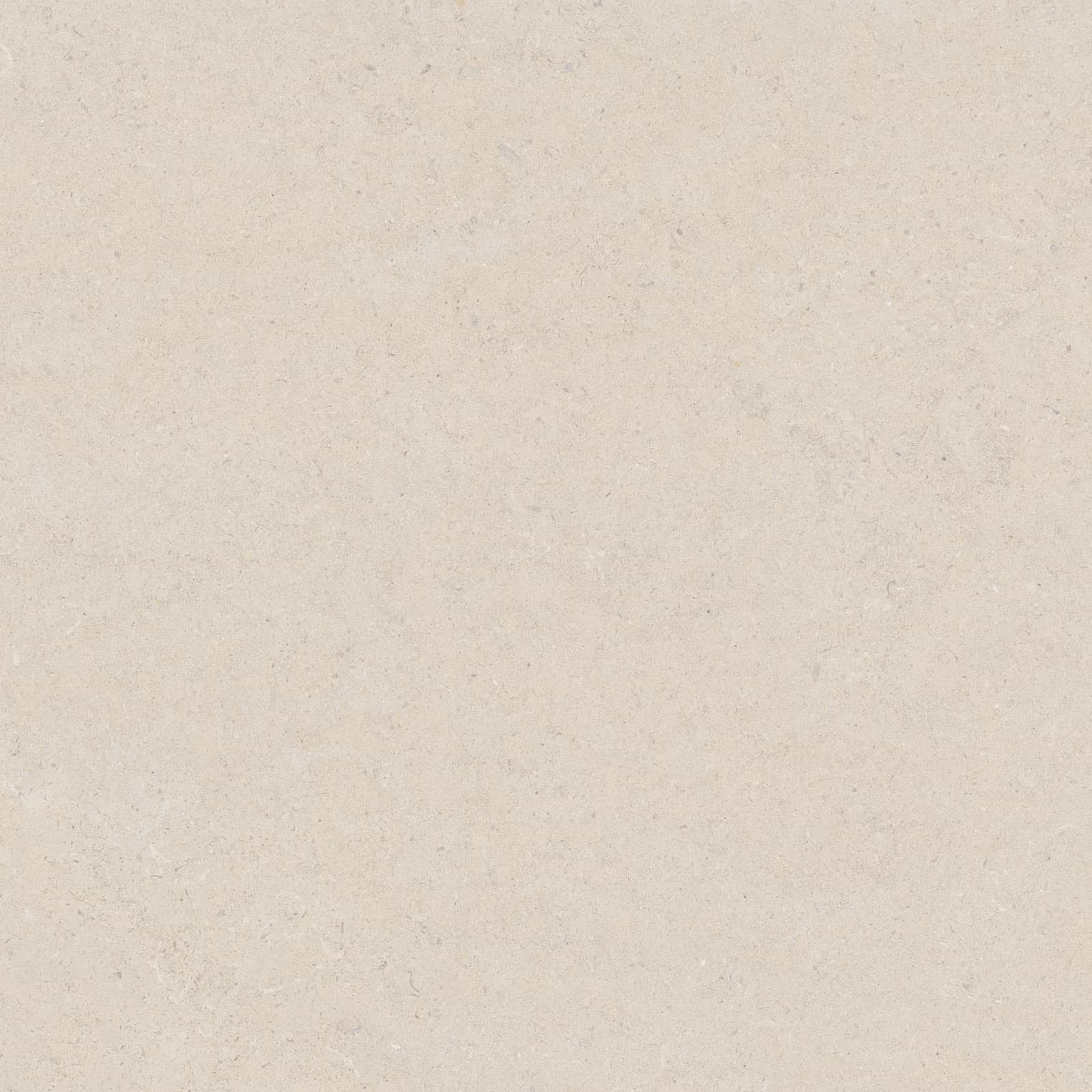 CALCARE LINEN 120×120(T) SP