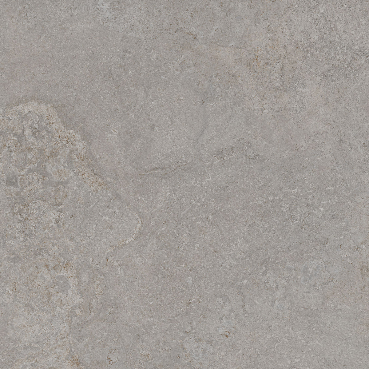 TAU Dorset Silver 60x60n(c) Rec