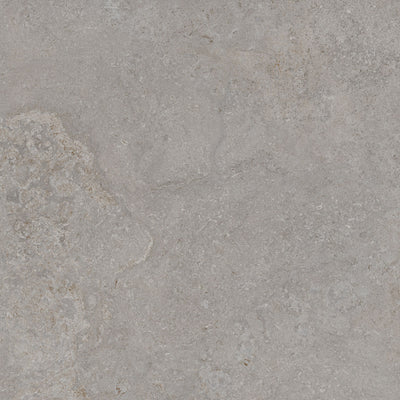 TAU Dorset Silver 60x60n(c) Rec