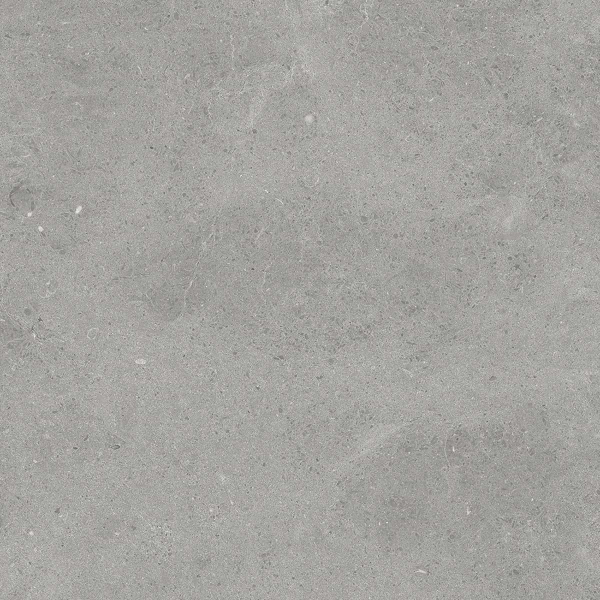 TAU Serenastone Silver 60x60 (f) Rec