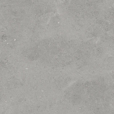 TAU Serenastone Silver 60x60 (f) Rec