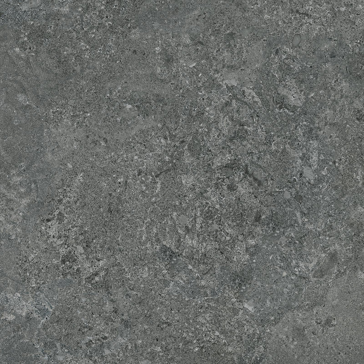 TAU Borga Grafiet 60x60n(20mm) Rec