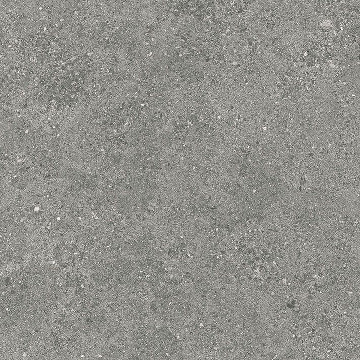 TAU Roadstone Gray 60x60 gerectificeerd