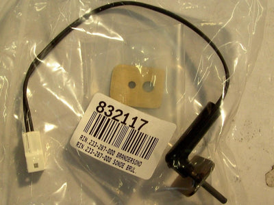 RIN 233-287-000 BURNER PROBE