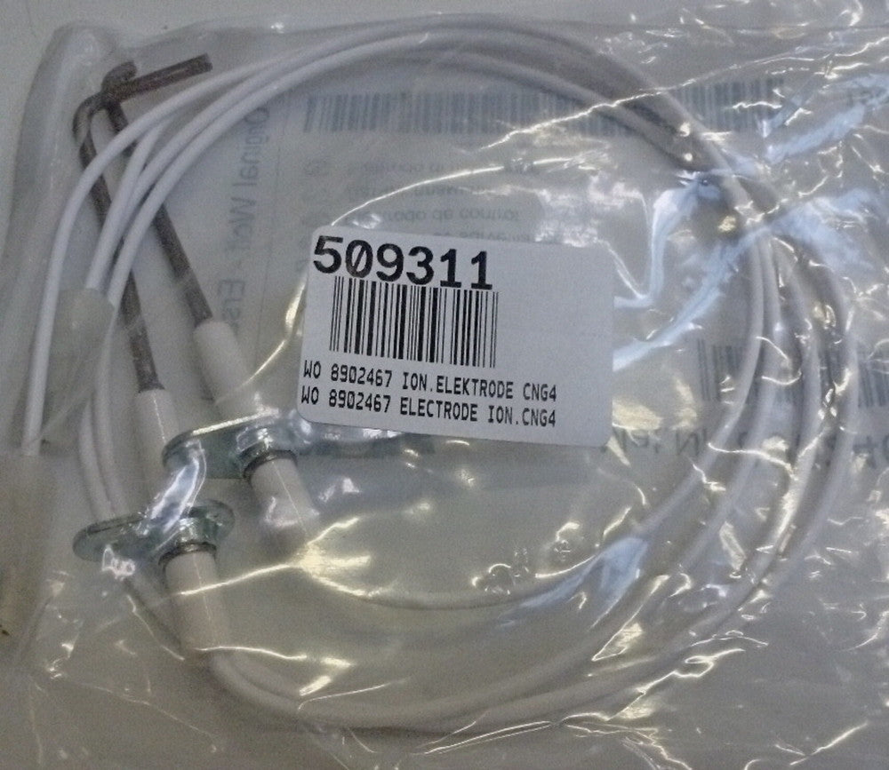 WO 8902467 ELECTRODE ION.CNG4