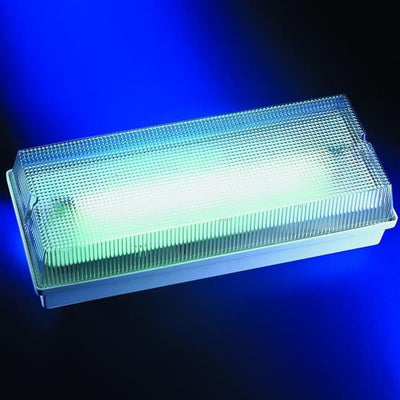 Eclairage de scours Argos non permanent auto - test 240lm 8W apparent hermétique 1h cabine