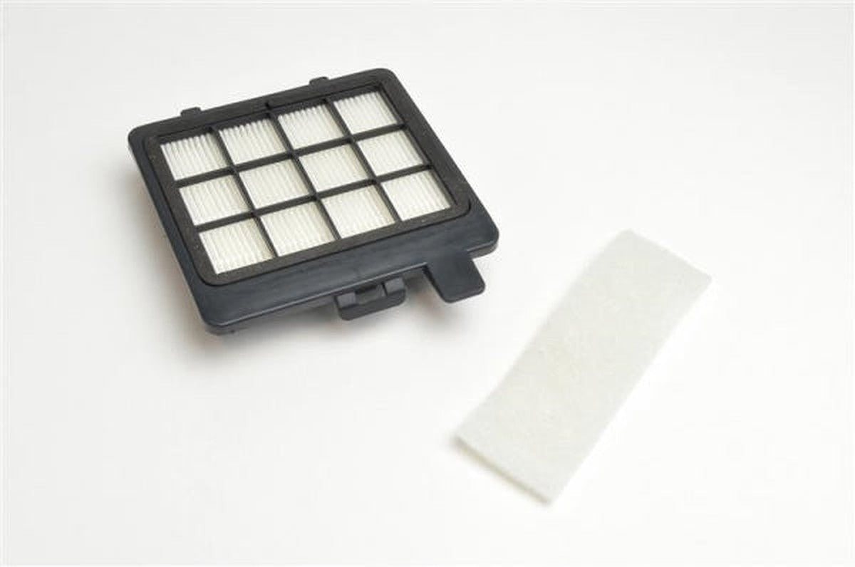 Filtre HEPA DO7244S