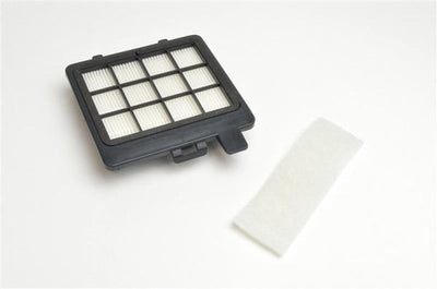 Filtre HEPA DO7244S