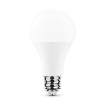 Ampoule LED Globe A65 20W E27 2700K