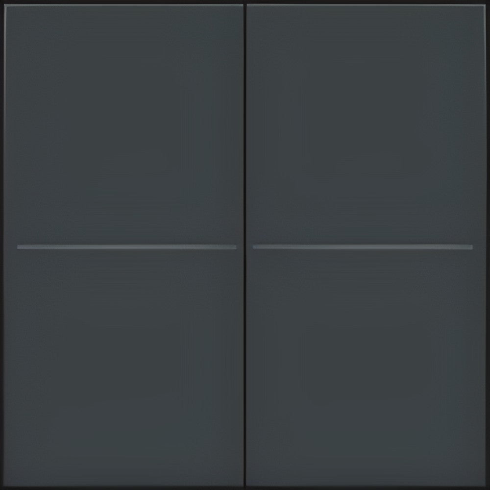 Wireless double switch for Hue system, Anthracite
