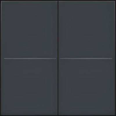 Wireless double switch for Hue system, Anthracite