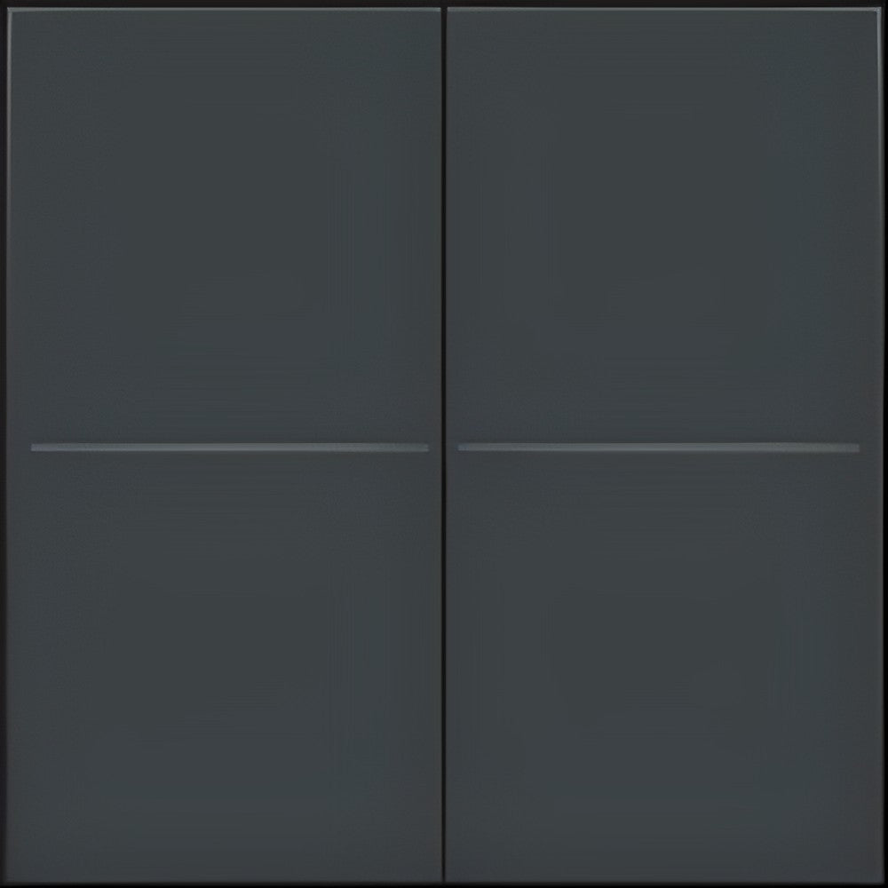 Wireless double switch for Hue system, Anthracite