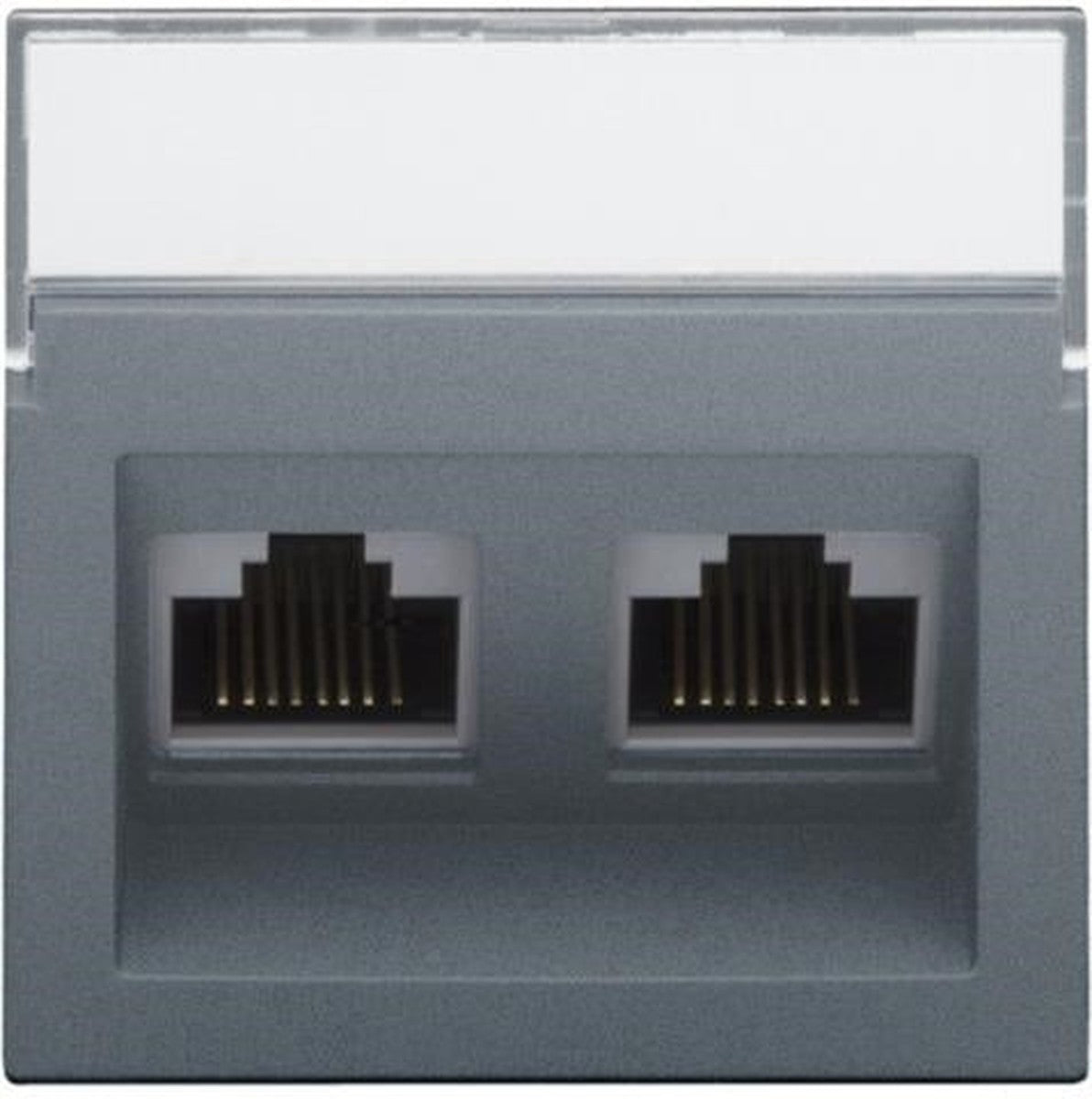 Enjoliveur data 2 x RJ sortie oblique Alu Steel