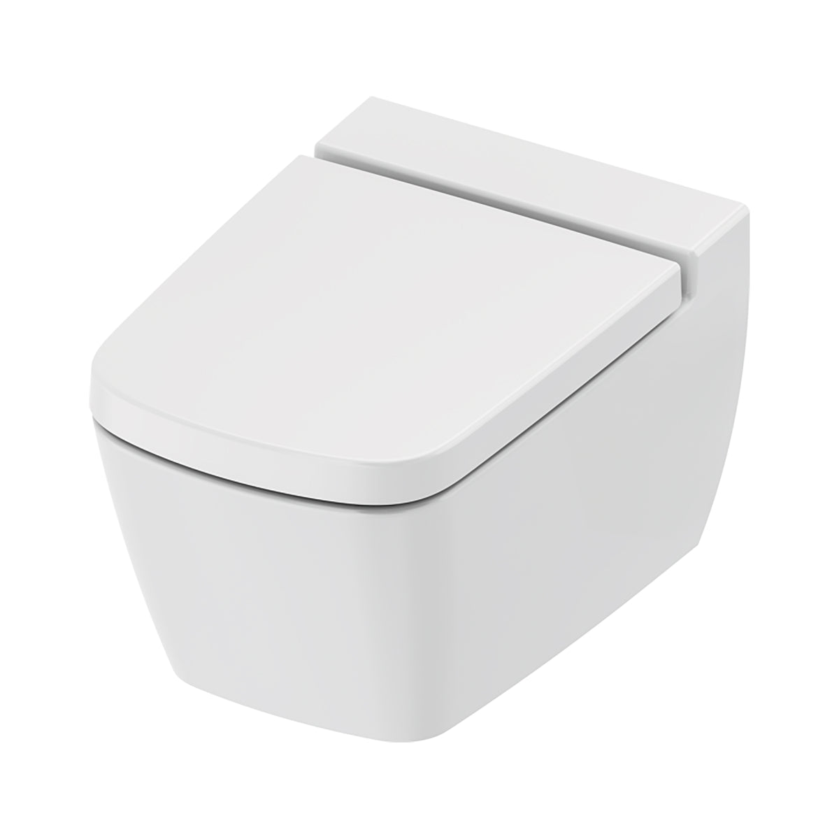 TECENEO TOILET SUSPENDU AVEC BIDET - AVEC MITIGEUR DE BIDET - EAU FROIDE - AVEC ABATTANT - 54 CM - BLANC BRILLANT