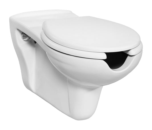 SUSPENDED TOILET FOR DISABLED PEOPLE | Delivery