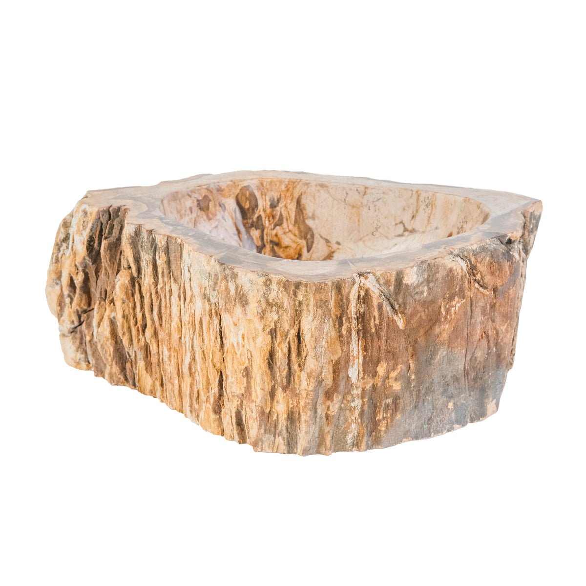 PETRIFIED WOOD BASIN 30-35x15CM