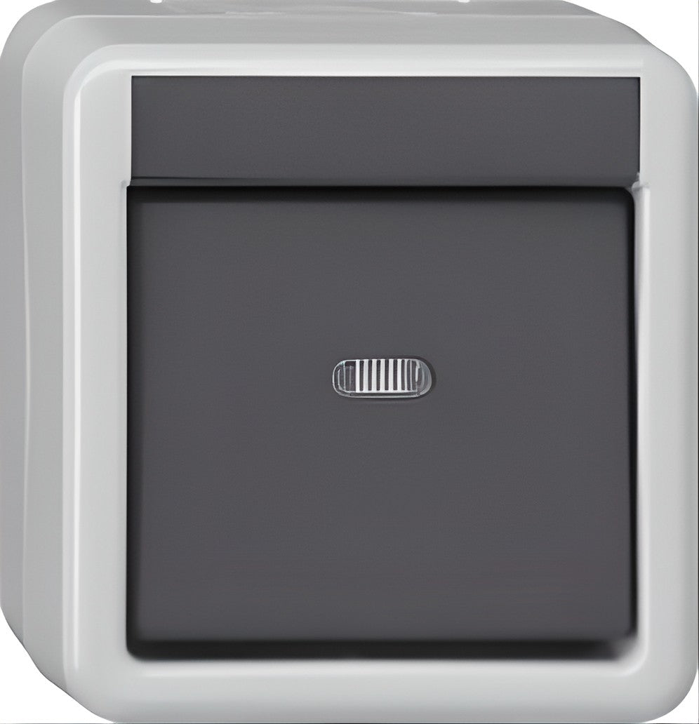 Bus coupler push-button surface-mounted waterproof 1 x with transparent cover