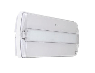 Step Led 20 Led 240lm 3h non permanent + bouton test