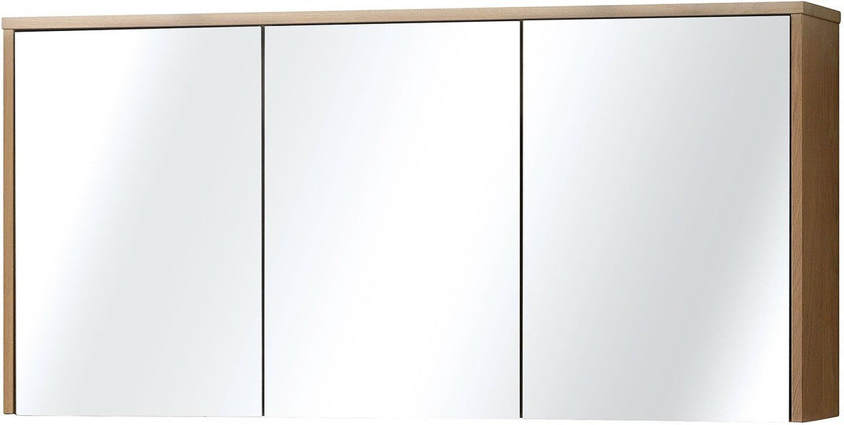 Sanitaire Armoire Craft 3PR 140 Che - Desco