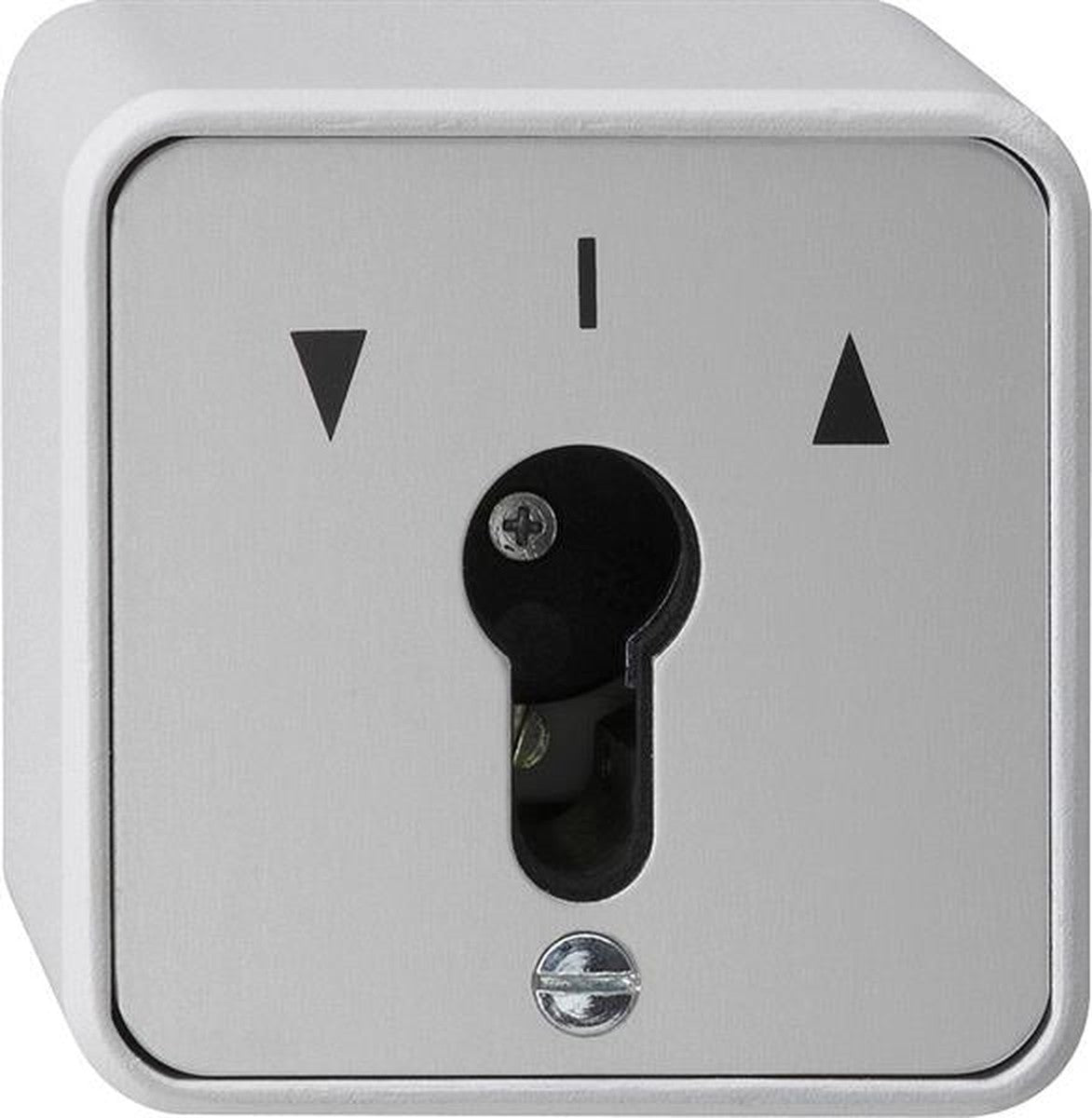 Sleuteldrukschakelaar 10A 250V~ voor alle DIN-profielhalfcilinders Grijs drukknop