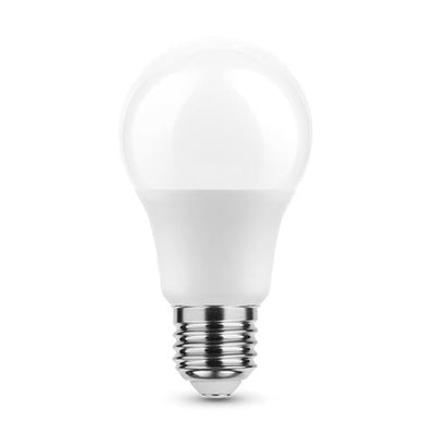 Ampoule LED Globe A60 8,8W E27 2700K 806lm