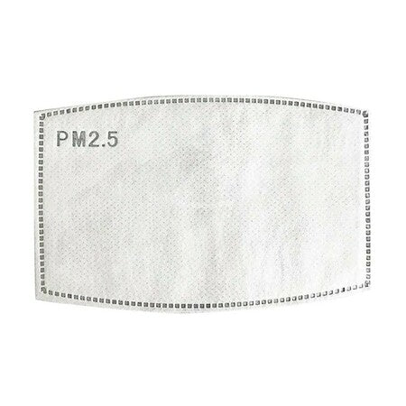 Dust Mask Carbon Filters - 2 Pieces