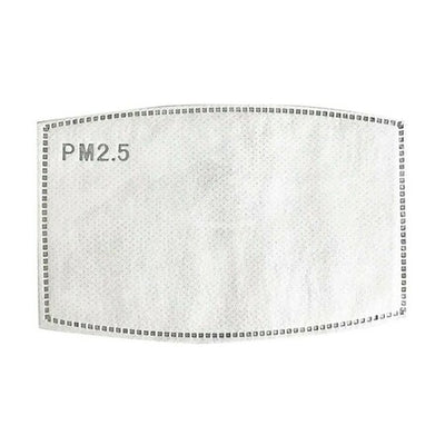 Dust Mask Carbon Filters - 2 Pieces
